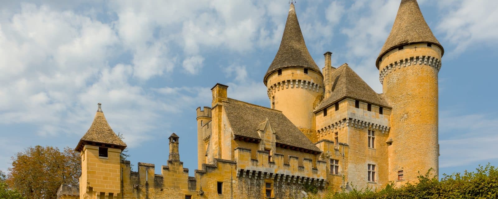 Château de Puymartin